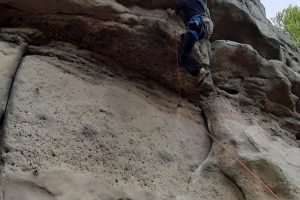 Gorilí samec 8-, Kozel