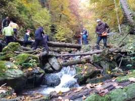 Spriechodnenie koryta potoka a výmena prehnitých stupačiek