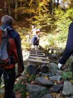 Výmena prehnitých stupačiek