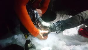 Nezvyklá voľba obuvi do takéhoto terénu...