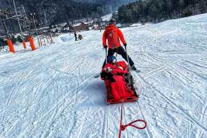 Zvoz na kanadských saniach