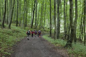 Exkurzia na lezecké skaly Hrádok - Kamenec pod Vtáčnikom