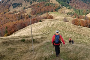 Tyčovanie, Borišov, Ploská, Martinské hole