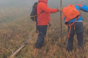 Tyčovanie, Borišov, Ploská, Martinské hole