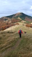 Tyčovanie, Borišov, Ploská, Martinské hole