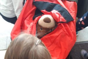 Ukážky činnosti Horskej služby v ZŠ Kláštor pod Znievom (05/2025)