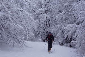 Zimná terénna služba na Borišove, 2008