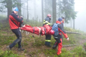 Súčinnostné cvičenie zložiek IZS, 2012