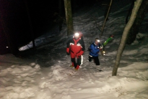 Záchranná akcia HZS+HS-VF, Borišov 2017
