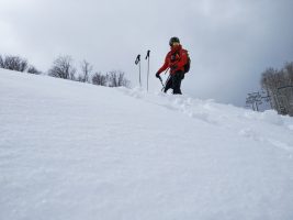 Zo služby v Snowlande